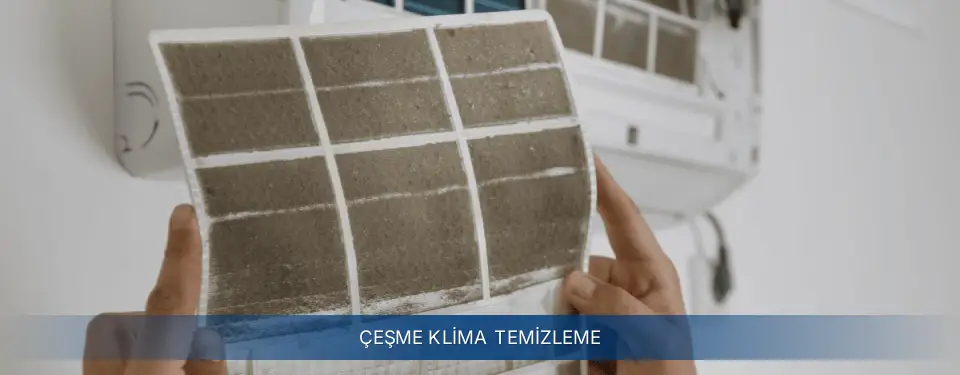 Çeşme İlçemi Electrolux Klima Temizleme